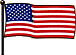 USA Flag - L